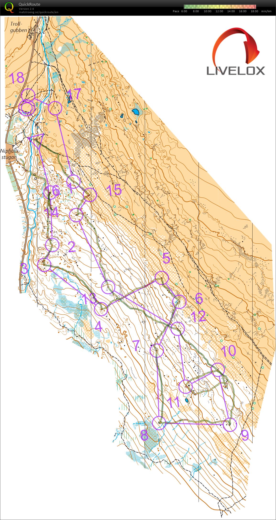 Idrefjällveckan: Middle Nipfjällsstugan (28/06/2021)